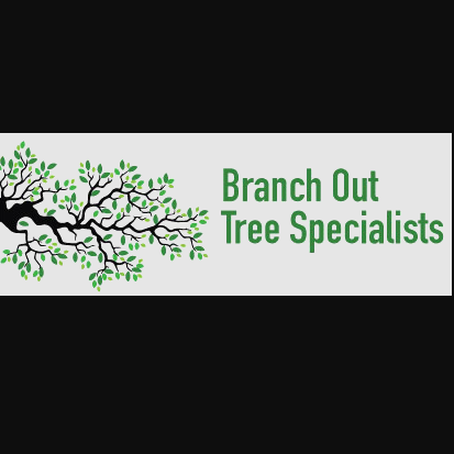 Branch Out Tree  Specialist